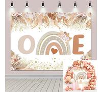 TENCOW Boho Rainbow Party Backdrop for Baby Shower 1st Birthday Pampas Grass Boho Rainbow Party Decoration Supplies Background (7x5FT)