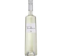 Tendence Vin de Corse, France