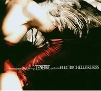 Regain Handmade Shoes – Shoes – Tenebrae Electric Hellfire Kiss