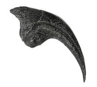 TENET - Allosaurus Claw Dinosaur Replica 20x8cm (Replica) - Paleontology - Ages 8 and Up - Unisex - Prehistoric Life Knowledge
