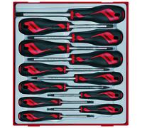 Teng Tools 12 Piece Mega Drive Torx® Screwdriver Set in a TC Tray TTD912TXN