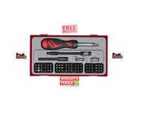 Teng Tools TTMD74 Ratcheting Screwdriver Bit Set TT1 x74 Pcs