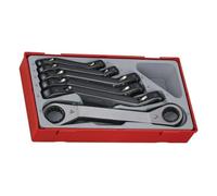 Teng Tools Ratcheting Ring Spanner Set TTRORS Metric 6-Piece 6-22mm