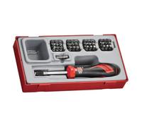 TENGTOOLS TTSD38-38p 1-5Nm Dynametric Screwdriver Set 1/4 Inch
