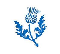 TENNER.LONDON Set of 5 Scottish Thistle Iron on Screen print Fabric Applique machine washable transfer Scotland Flower