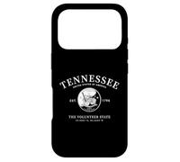 Tennessee Musical Heritage The Volunteer State Est 1796 Art Case for iPhone 17 Pro