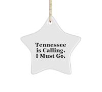 Tennessee Star Ornament, A Symbol of Home Sweet Home, for Him or Her, Gift from Friends, Family, or Coworkers, Tennessee Gifts, Christmas Star Ornament