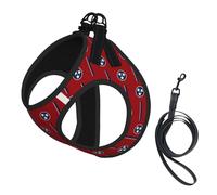 Tennessee State Flag Print Step in Dog Harness and Leash Set,Adjustable Reflective Harness for Small Dogs Cats