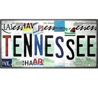 tennessee strip art novelty license plate license plate 6x12 inches