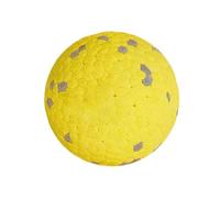 Tennis Balls For Dogs - Long Lasting Strong Dog | Durable Sport Play Tennis Dog Ball | Stress Relief Gentle Emotional Support Ball For | Puppy With Mesh Carrying