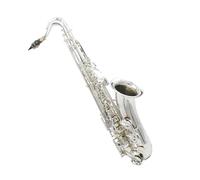 Tenor Saxophone Professiona Playing
