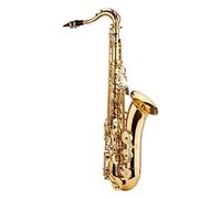 Tenor Saxophone, Professional Golden B Flat Tenor Sax Instrument for Beginners Students with Carry Case Gloves Cleaning Cloth Brush Sax Neck Straps Mouthpiece