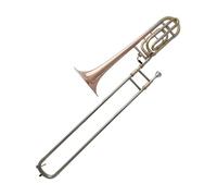 Tenor Trombone In B Flat Tenor Trombone B Flat F Key Beginner Exam Performance Phosphor Bronze
