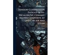 Tension-Compression Fatigue of Hi-Nicalon/SiC Ceramic Matrix Composite at 1200 C in Air and Steam