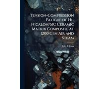 Tension-Compression Fatigue of Hi-Nicalon/SiC Ceramic Matrix Composite at 1200 C in Air and Steam