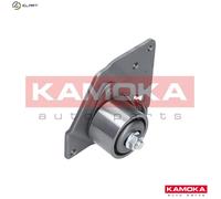 TENSIONER LEVER TIMING BELT R0187 FOR RENAULT SCENIC/GRAND/II LAGUNA/Grandtour