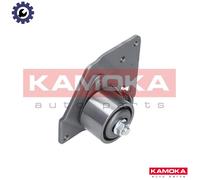 TENSIONER LEVER TIMING BELT R0187 FOR RENAULT SCENIC/GRAND/II LAGUNA/Grandtour