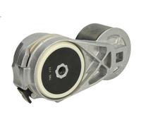 Tensioner Lever, V-ribbed bel BTA B05-AG-011 for FORD 8000 7.5 1993-2000