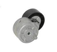 Tensioner Lever, V-ribbed bel BTA E3F0009BTA for LANCIA Y (840_) 1.4 1996-2003