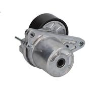 Tensioner Lever, V-ribbed bel BTA E3M0004BTA for ESPACE V (JR_) 1.6 2015-2023