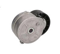 Tensioner Lever, V-ribbed bel DAYCO APV1114 for FORD KUGA I 2 2008-2012