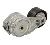 Tensioner Lever, V-ribbed bel DAYCO APV2413