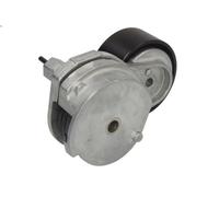 Tensioner Lever, V-ribbed bel DAYCO APV2813 for DAF CF 85 12.902 2005-2013