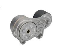 Tensioner Lever, V-ribbed bel DAYCO APV3142 for D ACCESS 7.698 2014-2021