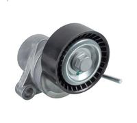 Tensioner Lever, V-ribbed bel FEBI 31076 for CITROEN C2 (JM_) 1.1 2003-2012