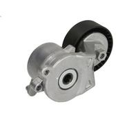 Tensioner Lever, V-ribbed bel HERTH+BUSS JAKOPARTS J1142105 for YARIS 1 2010-