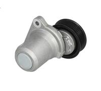 Tensioner Lever, V-ribbed bel HERTH+BUSS JAKOPARTS J1143062 for 3 (BL) 2.3 2008-