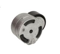 INA 534018010 Tensioner Lever