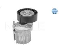 Tensioner Lever, V-ribbed bel MEYLE 100 903 1101 for AUDI A3 (8P1) 2 2003-2012