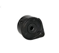 Tensioner Lever, V-ribbed bel SNR GA350.52 for BMW 7 (E38) 3 1998-2000