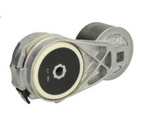 Tensioner Lever, V-ribbed belt BTA B05-AG-012 for FORD 8000 7.5 1993-1998