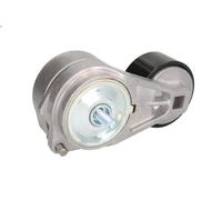 Tensioner Lever, V-ribbed belt BTA B05-AG-025 for 7000 6.6 2003-2008