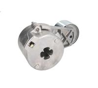 Tensioner Lever, V-ribbed belt BTA B05-AG-031 for FENDT 300 4.16 1980-1998