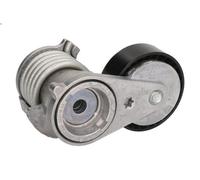 Tensioner Lever, V-ribbed belt INA 534 0029 10 for VOLVO V50 (545) 2 2010-2012