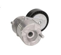 Tensioner Lever, V-ribbed belt INA 534 0030 10 for VOLVO C30 (533) 2 2010-2012