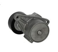 Tensioner Lever, V-ribbed belt INA 534 0103 10 for VOLVO S40 I (644) 2 2000-2003