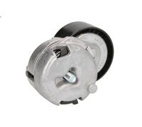 Tensioner Lever, V-ribbed belt INA 534 0109 20 for GT (937_) 2 2003-2010