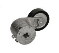 Tensioner Lever, V-ribbed belt INA 534 0115 20 for VIVA 1.8 2003-2008