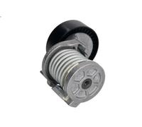 Tensioner Lever, V-ribbed belt INA 534 0164 10 for AUDI A3 (8P1) 2 2006-2012