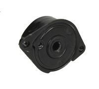 Tensioner Lever, V-ribbed belt INA 534 0171 10 for BMW 5 (E39) 3 1998-2