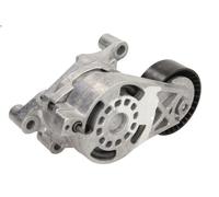 Tensioner Lever, V-ribbed belt INA 534 0186 10 for AUDI TT (8J3) 2 2006-2010