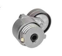 Tensioner Lever, V-ribbed belt INA 534 0240 10 VOLVO S40 I (644) 1.9 2000-2003
