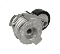 Tensioner Lever, V-ribbed belt INA 534 0252 10 for BMW 6 (E63) 3 2004-2007