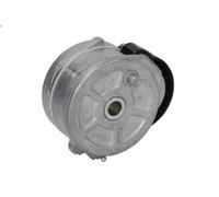 Tensioner Lever, V-ribbed belt INA 534 0255 10 for XSARA (N1) 1.9 1998-2005
