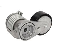 Tensioner Lever, V-ribbed belt INA 534 0273 10 for VOLVO C30 (533) 2 2010-2012