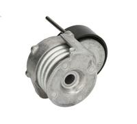 INA 534 0331 10 Tensioner Lever, v-ribbed belt